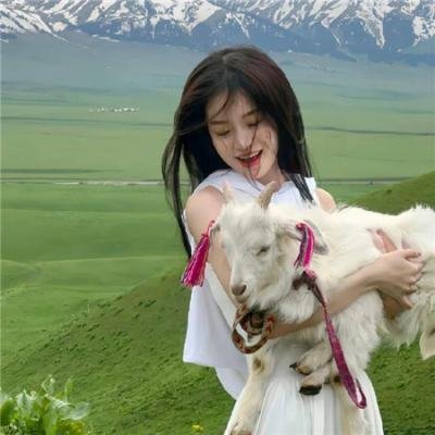 新狂人乐队 在线观看